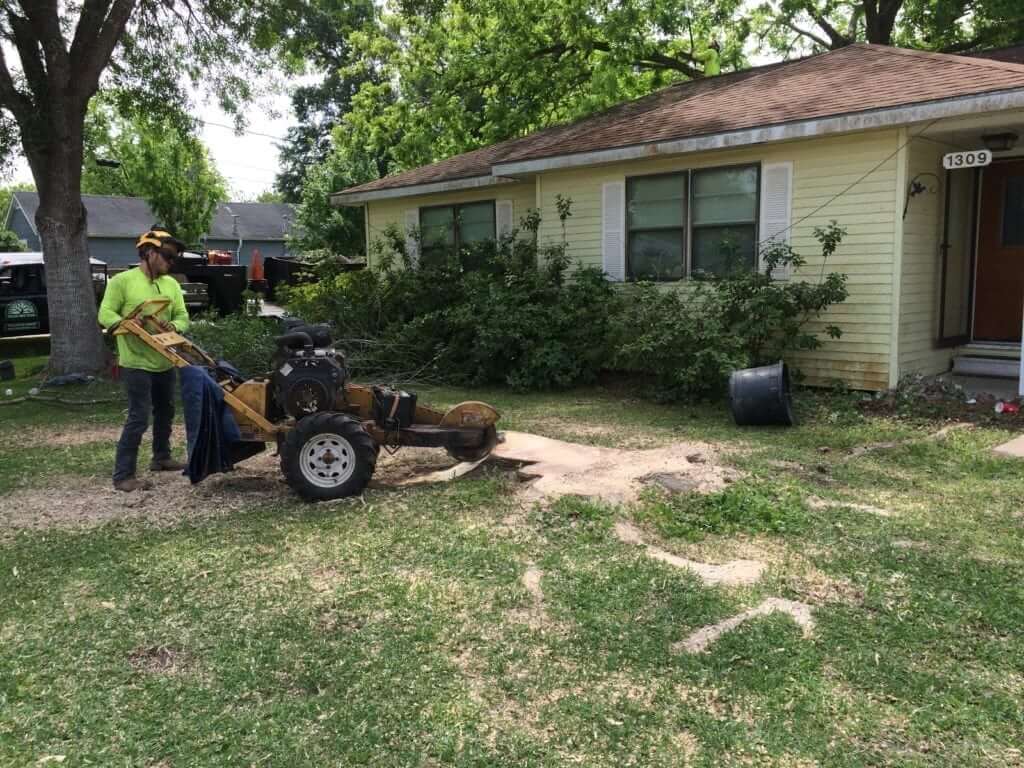 Stump Grinding