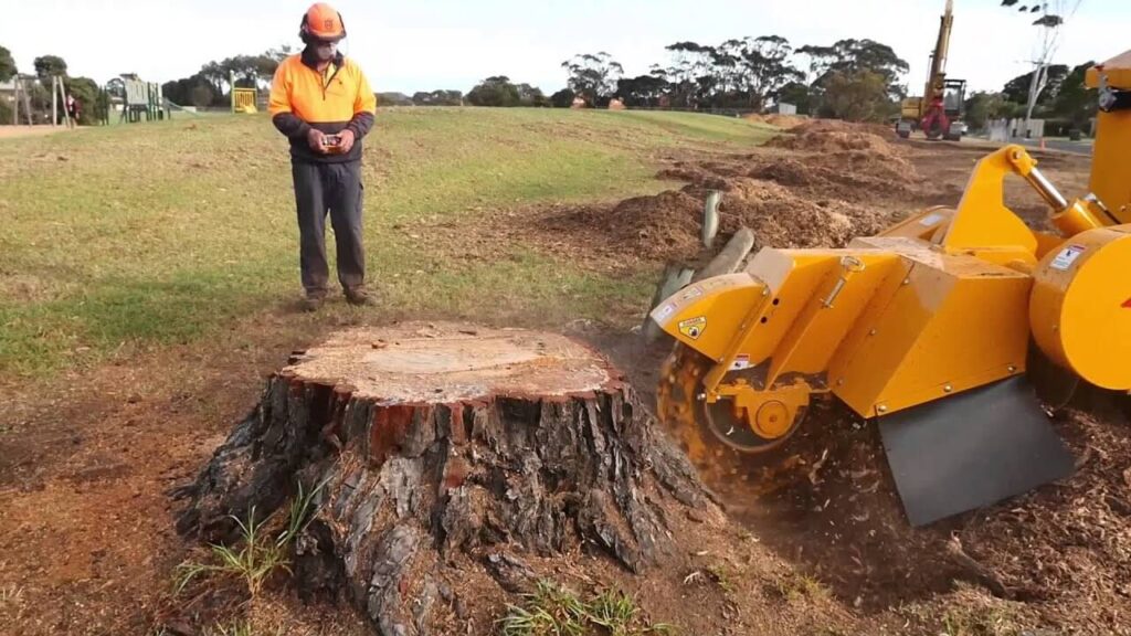 Stump Grinding