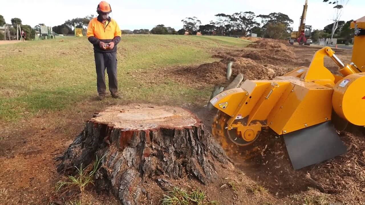 How to Choose the Right Stump Grinding Service for Your Property