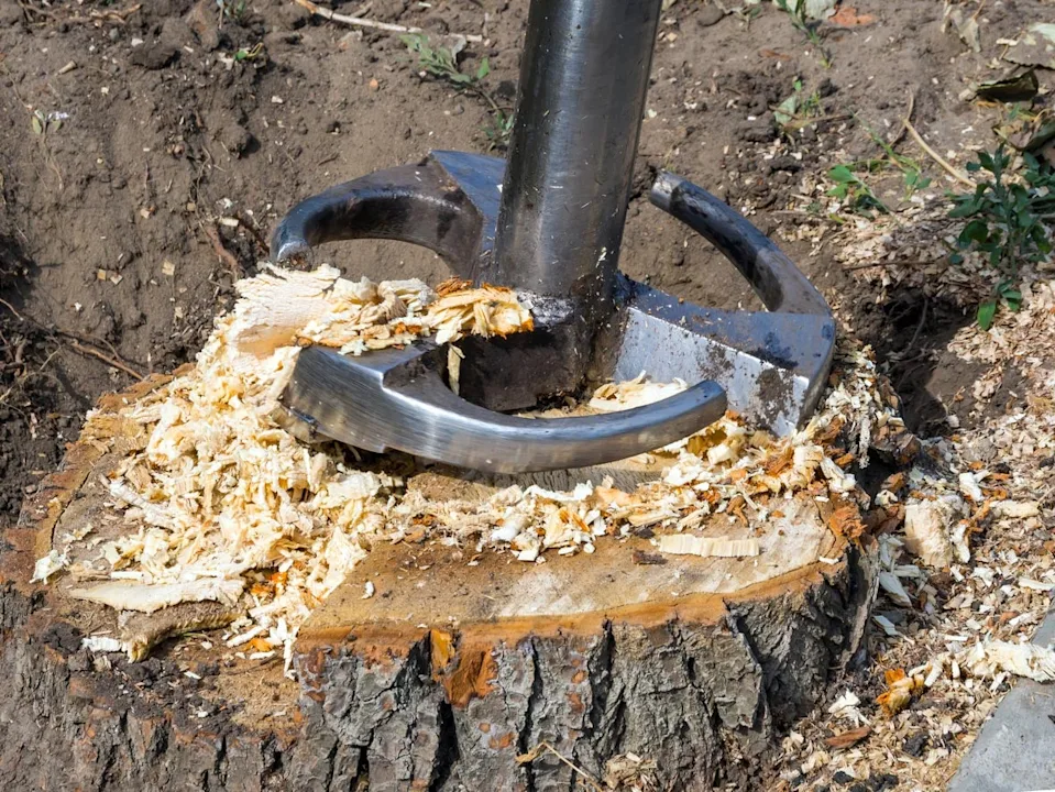 Stump Removal